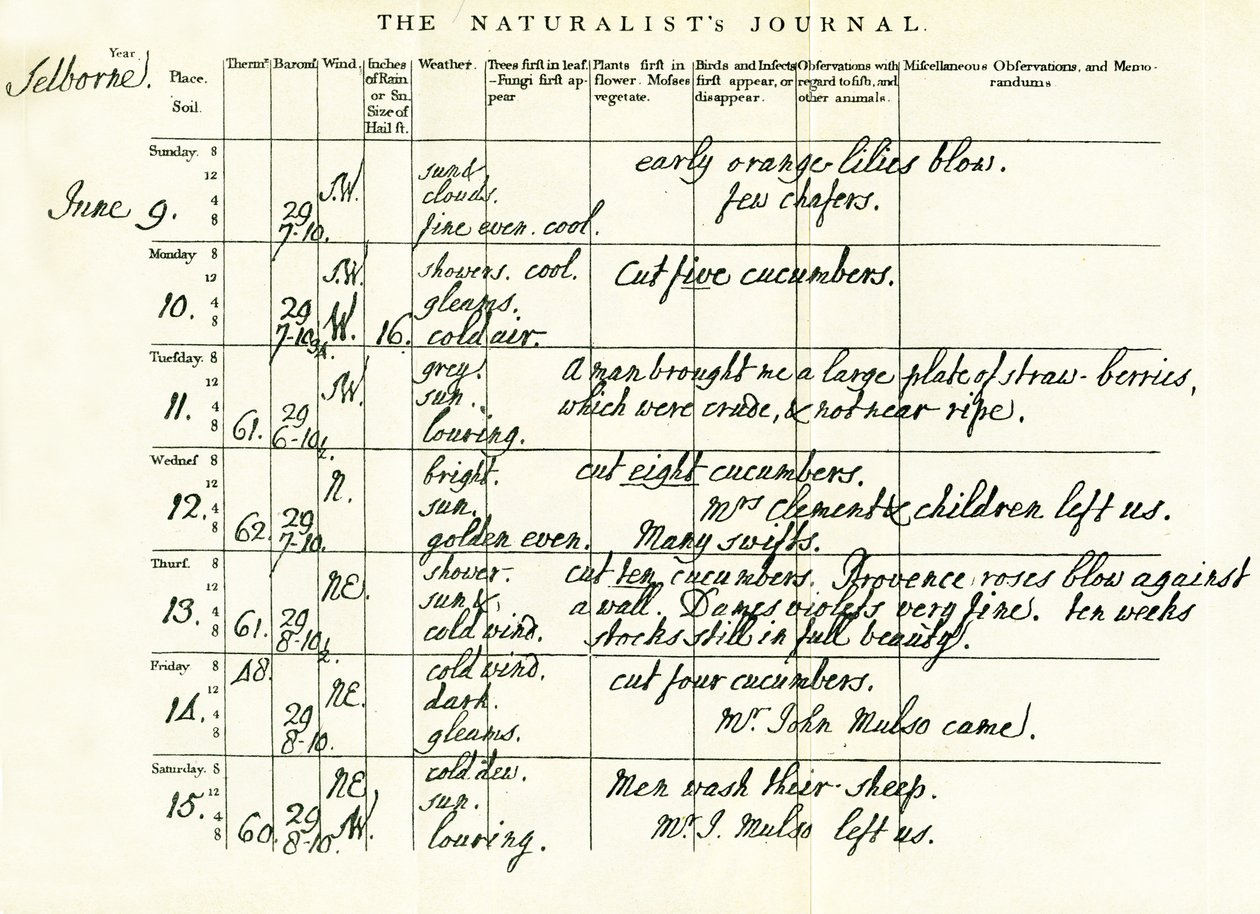 Letzte vollendete Seite von Gilbert Whites Naturalists Journal, 9.-15. Juni 1793 von Gilbert White