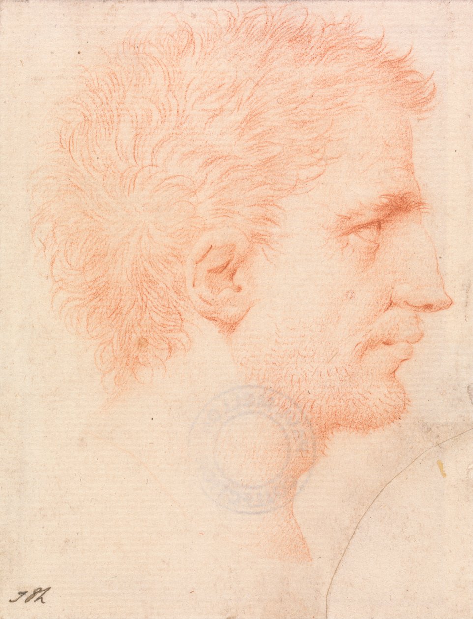 Kopf eines Mannes mit Stoppelbart, nach rechts gewandt von Giles Hussey