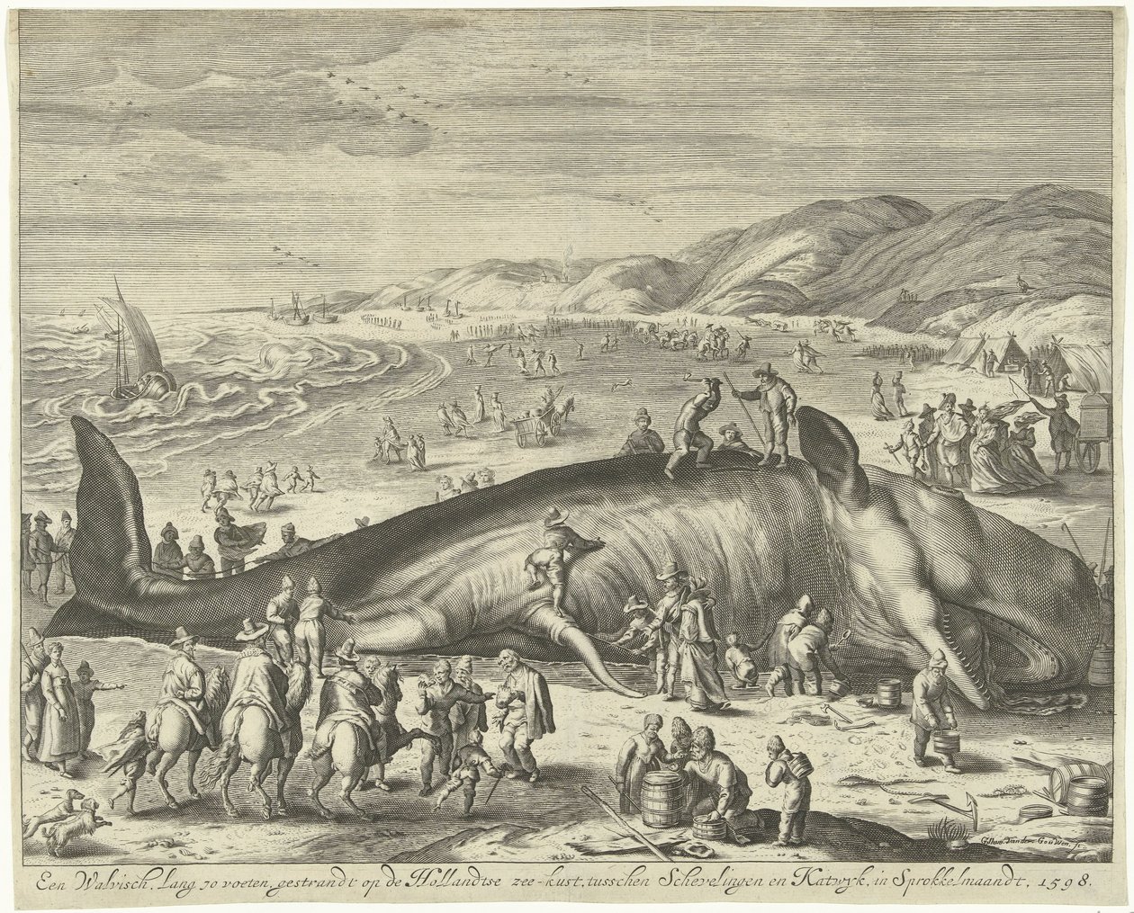 Gestrandeter Wal bei Berckhey, 1598 von Gilliam van der Gouwen