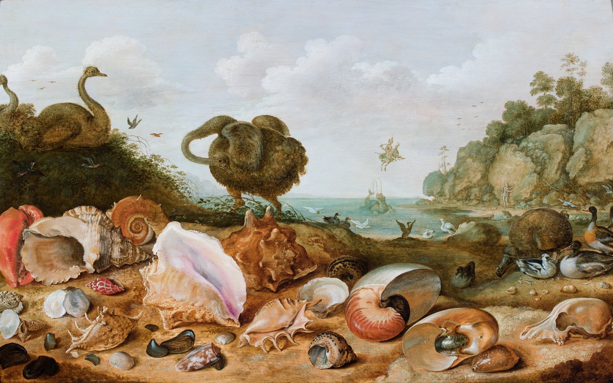 Muscheln und Vögel, darunter ein Dodo, an einem Strand, Perseus rettet Andromeda im Hintergrund von Gillis Claesz d