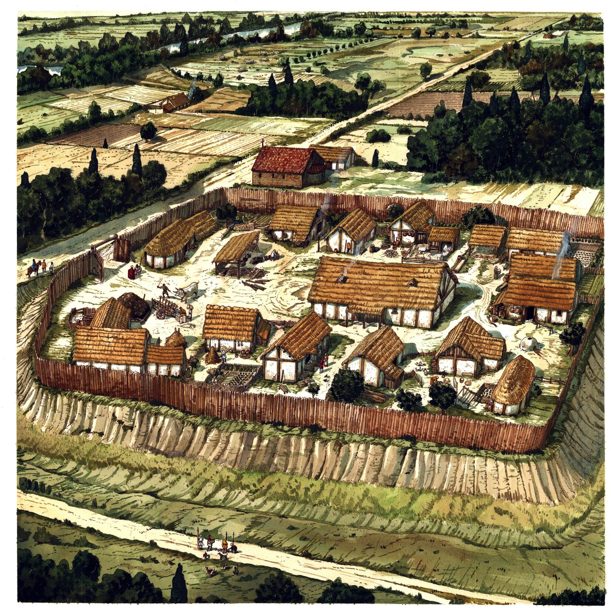 Mittelalter: Rekonstruktion einer Motte (Illustration) von Giorgio Albertini