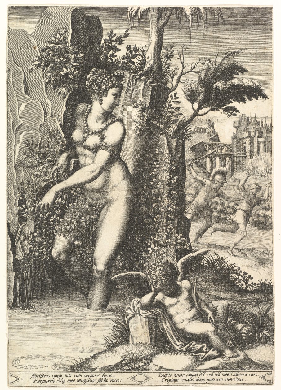 Venus von den Dornen eines Rosenstrauchs gestochen, im Hintergrund Mars, der Adonis jagt, 1556 von Giorgio Ghisi