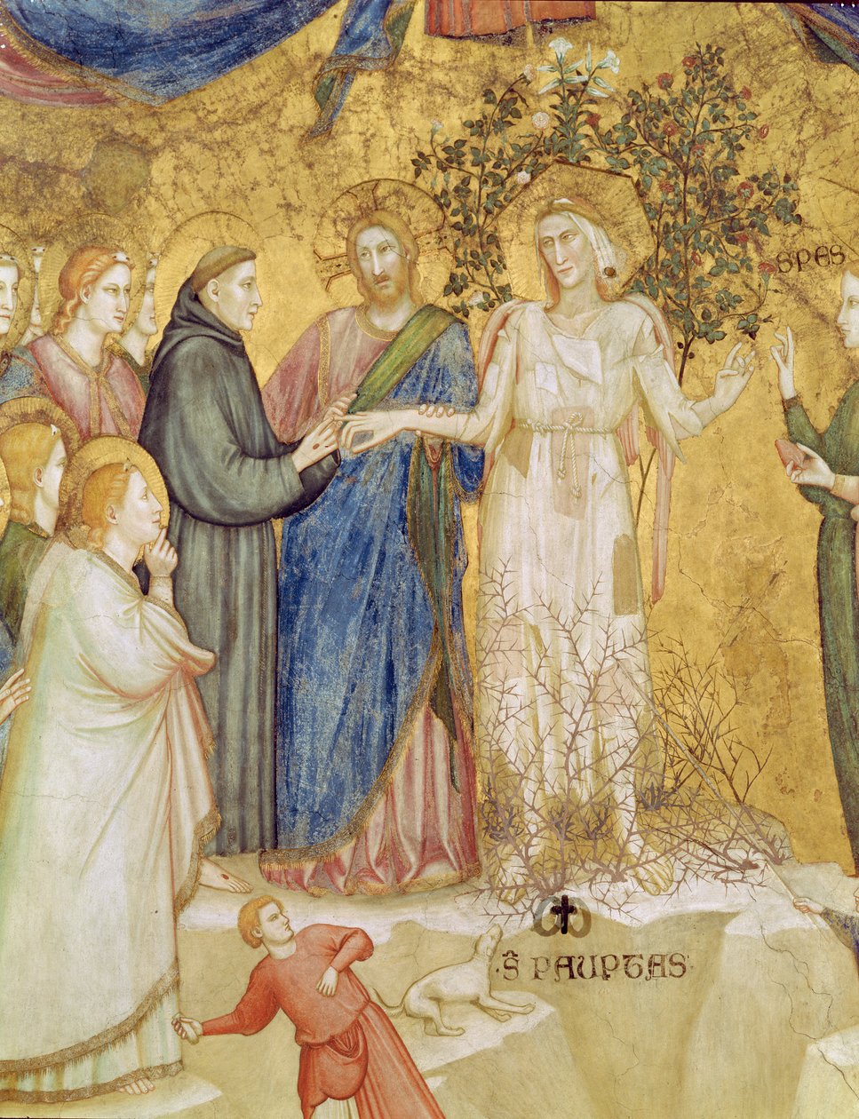 Christus segnet die mystische Hochzeit des Hl. Franziskus mit der Armut, 1330 von Giotto di Bondone