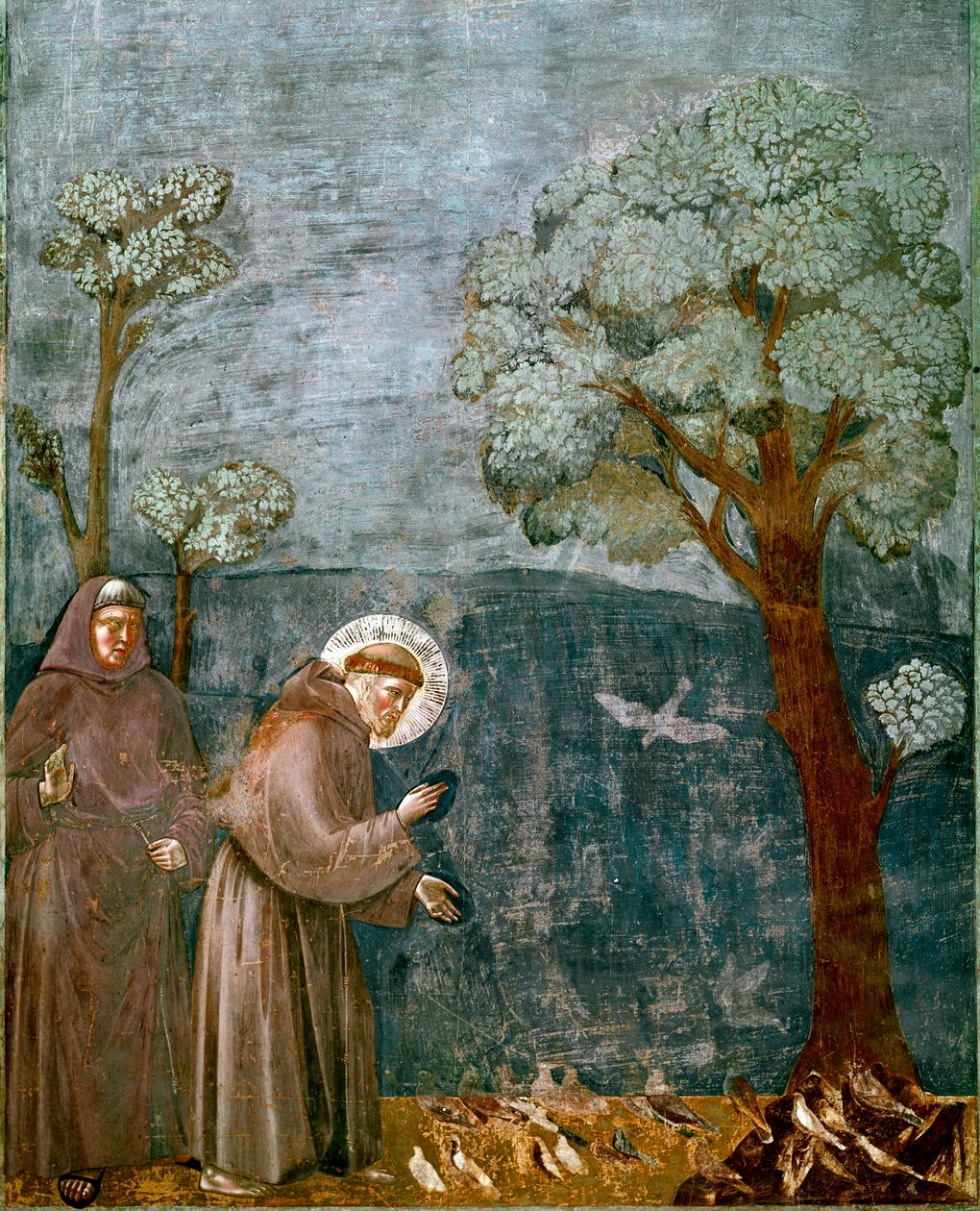Episode aus dem Leben des Heiligen Franz von Assisi: Die Predigt an die Vögel (Fresko) von Giotto (c.1266 1337)