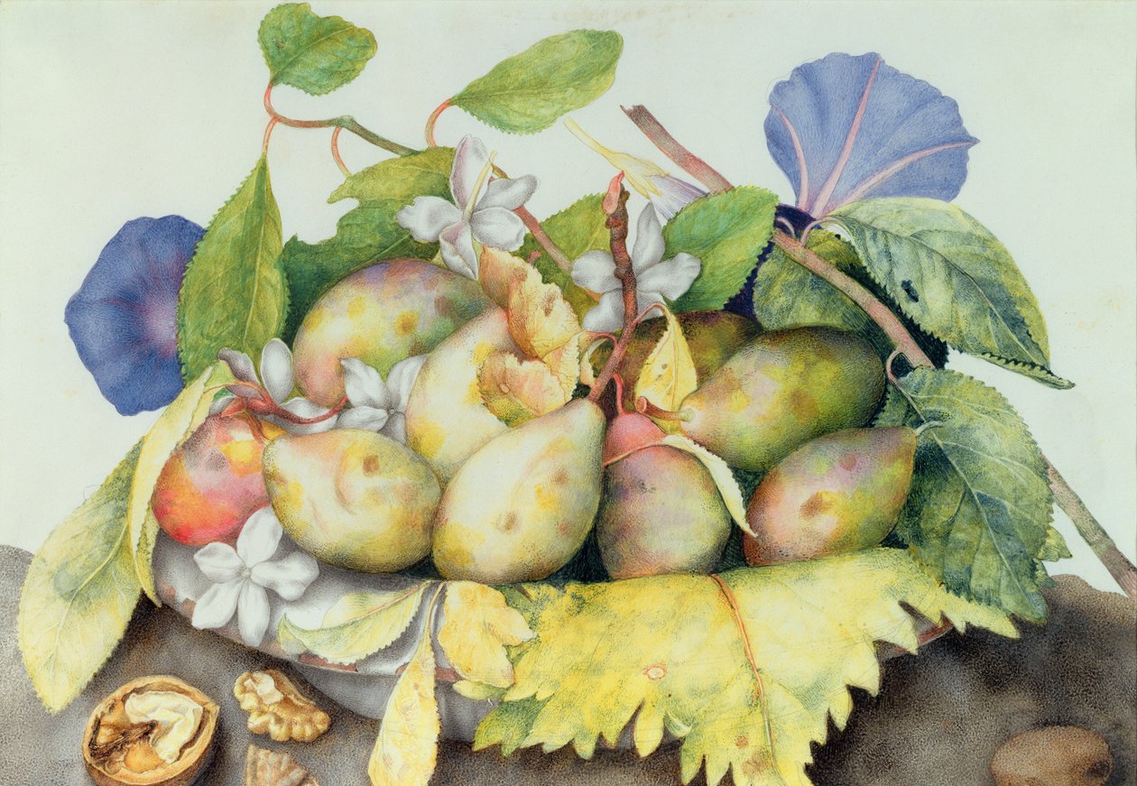 Stillleben mit Pflaumen, Walnüssen und Jasmin von Giovanna Garzoni