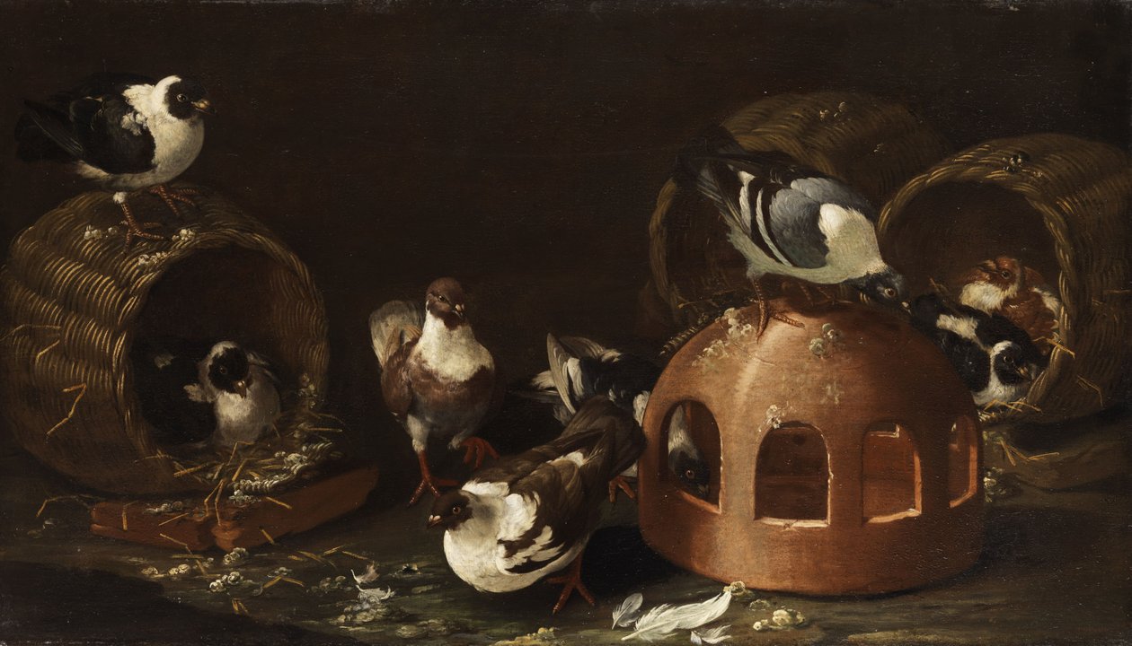 Tauben zwischen Futtertrog und Körben von Giovanni Agostino Cassana