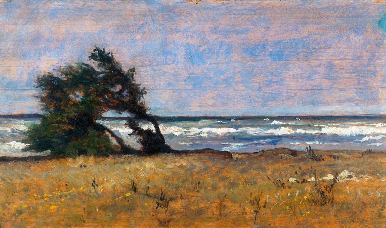 Sturm von Giovanni Fattori