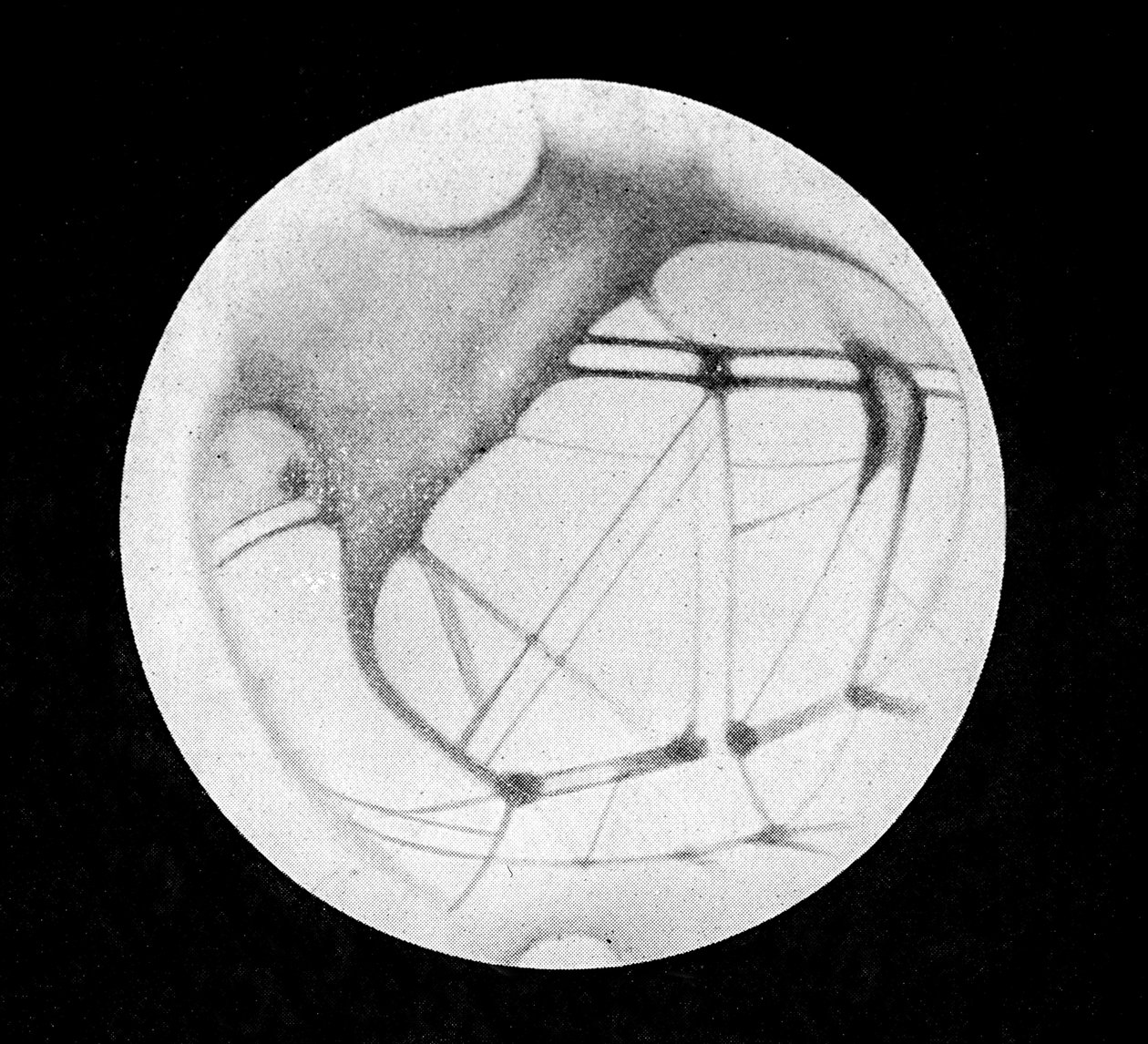 Die doppelten Kanäle des Mars (Marskanäle oder Canali-Kanäle), nach Giovanni Virginio Schiaparelli (1835-1910), italienischer Astronom (1890) - in „The Sky“ von Alphonse Berget, Larousse von Giovanni (after) Schiaparelli