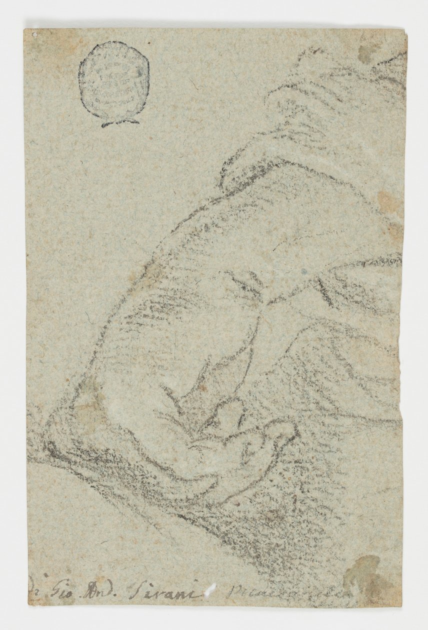 Studie: Eine linke Hand in einer lehnenden Position, ca. 1650 von Giovanni Andrea Sirani