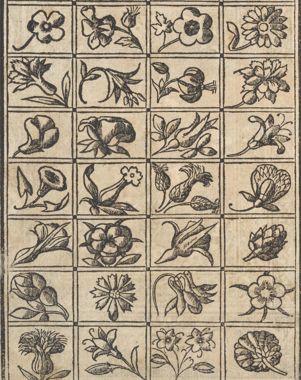 Essempio di recammi, Seite 10 verso, 1530 von Giovanni Antonio Tagliente