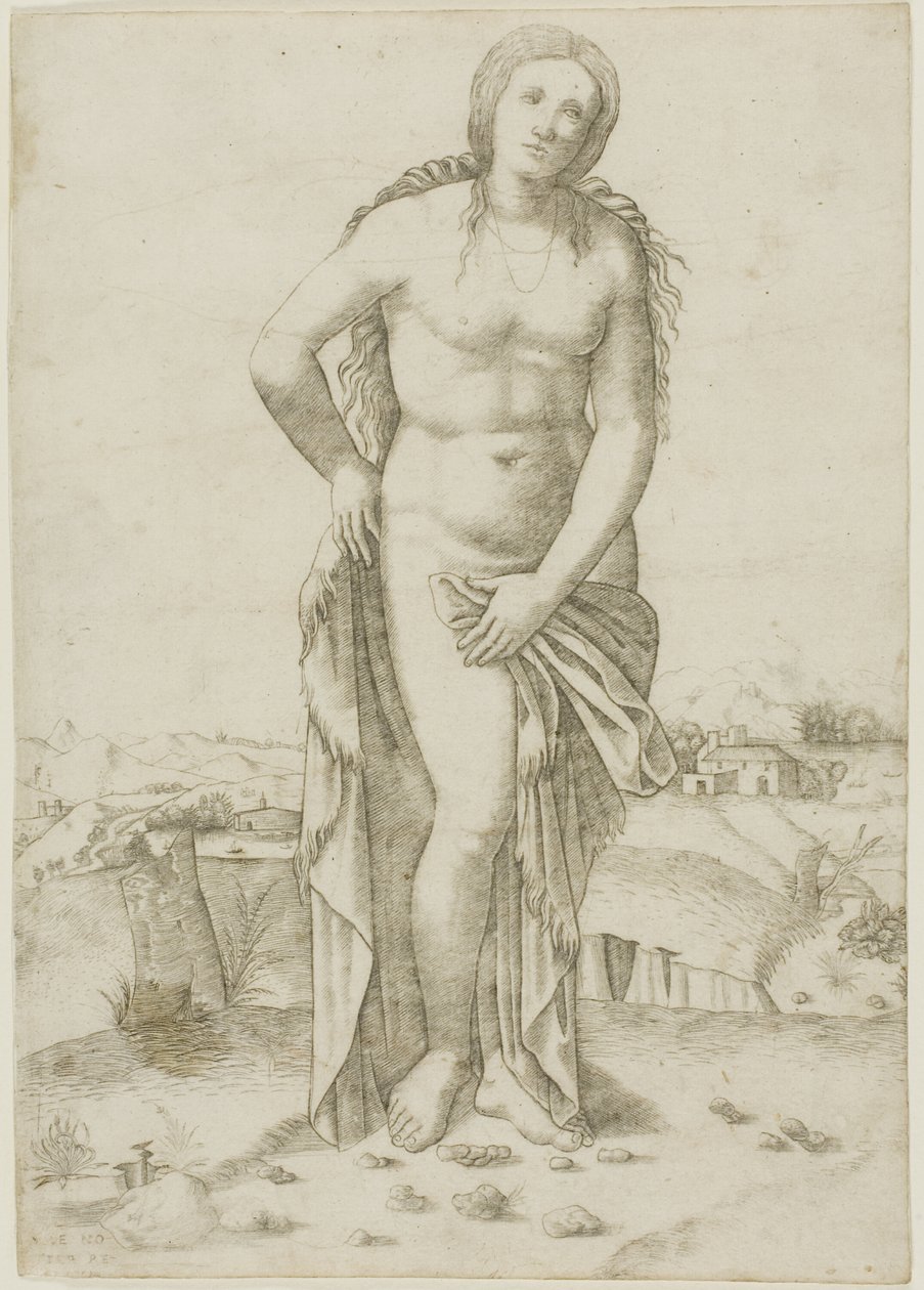 Venus von Giovanni Antonio da Brescia