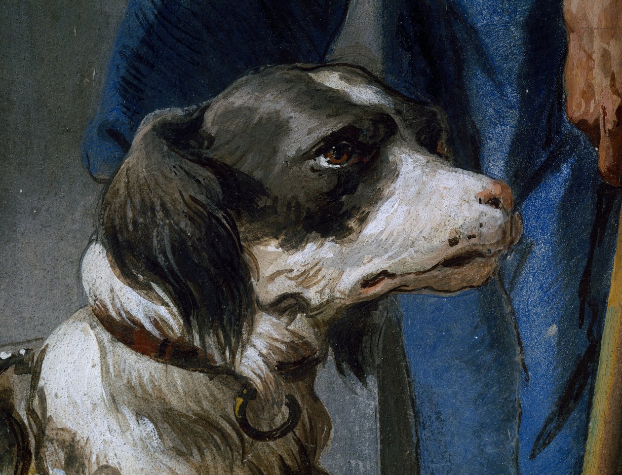 Hund Argo, Detail aus einem Fresko von Giovanni Battista Tiepolo (1696-1770) von Giovanni Battista Tiepolo