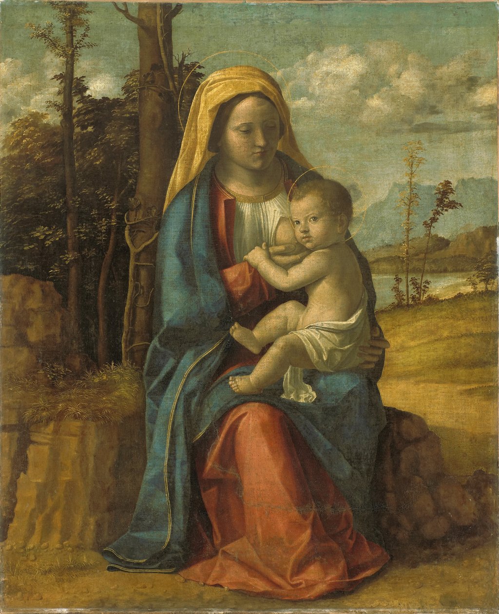 Madonna mit Kind von Giovanni Battista Cima da Conegliano