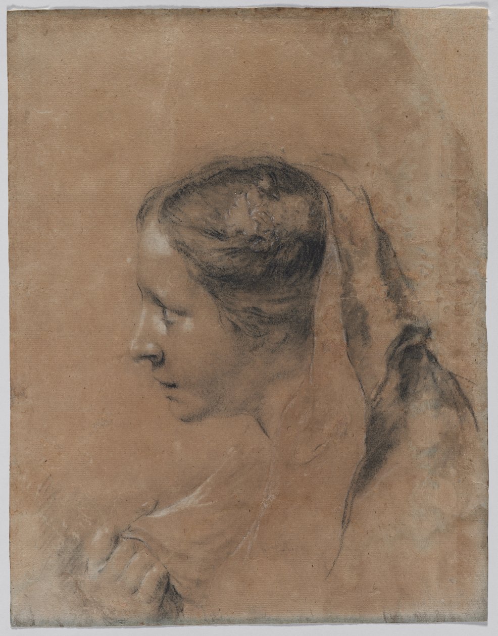 Kopf einer Frau im Profil mit einem Schal von Giovanni Battista Piazzetta