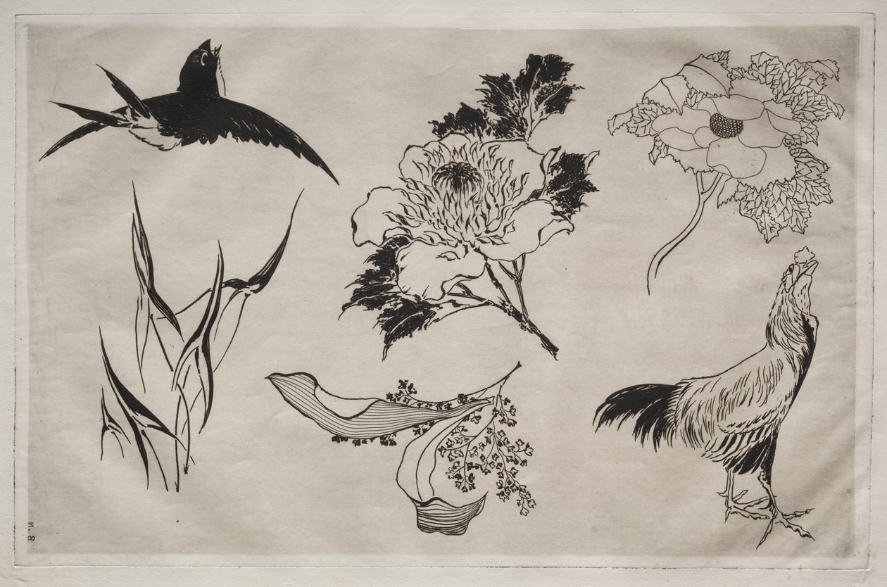 Tafelservice (Rousseau-Service): Schwalbe, Hahn und Blumen (Nr. 8) von Giovanni Battista Piranesi