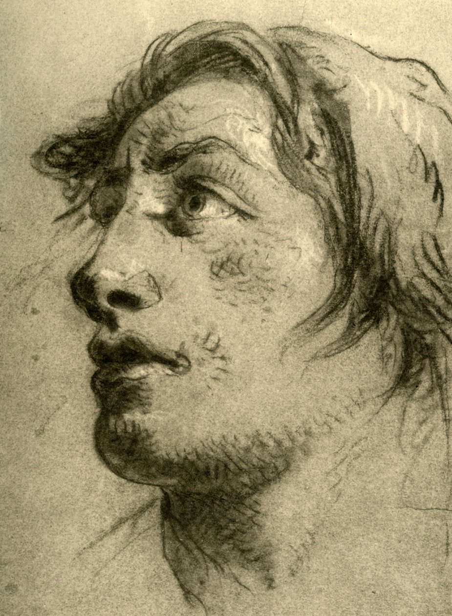 Kopf eines Jugendlichen, fast im Profil und nach oben blickend von Giovanni Battista Tiepolo