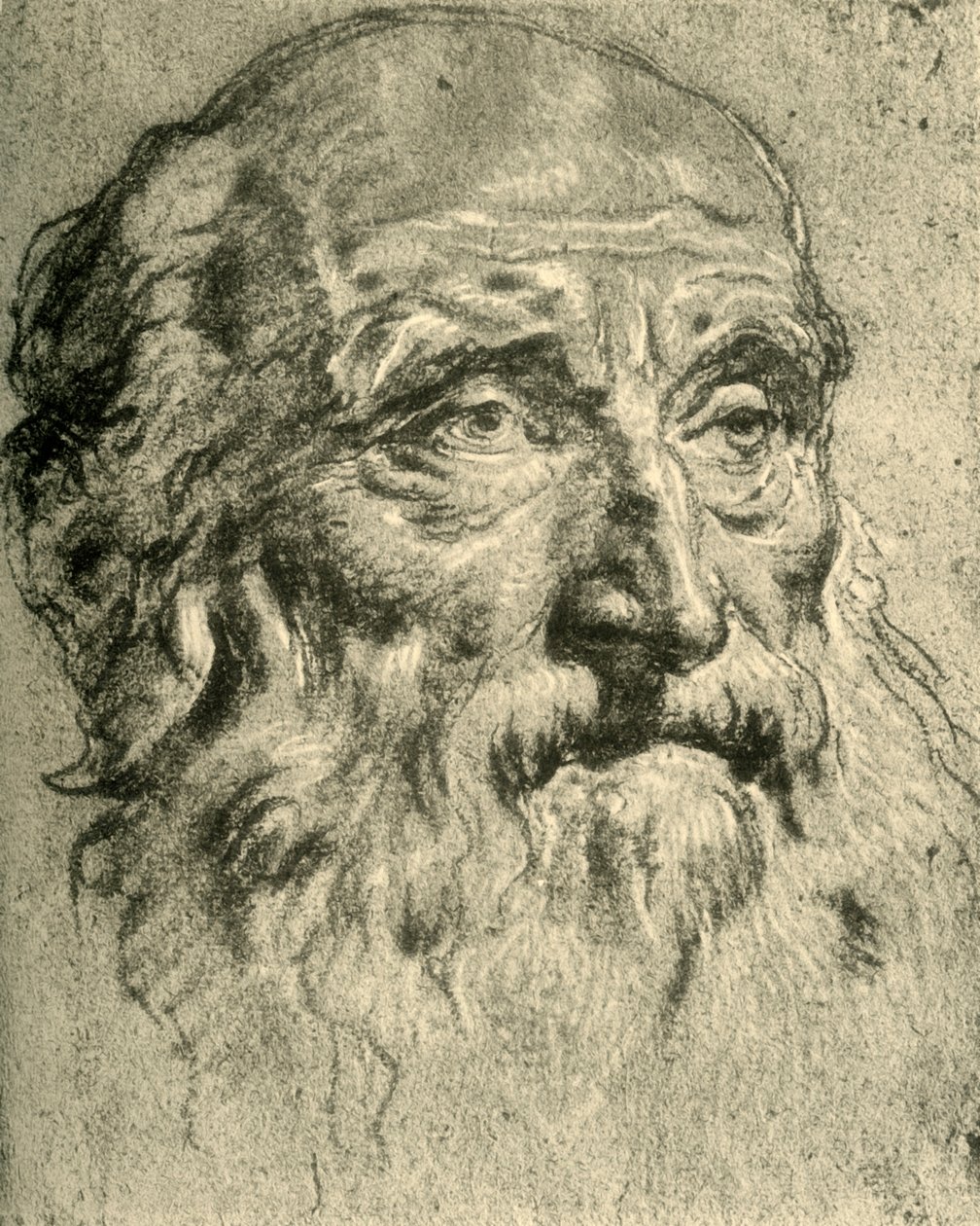 Kopf eines alten Mannes von Giovanni Battista Tiepolo