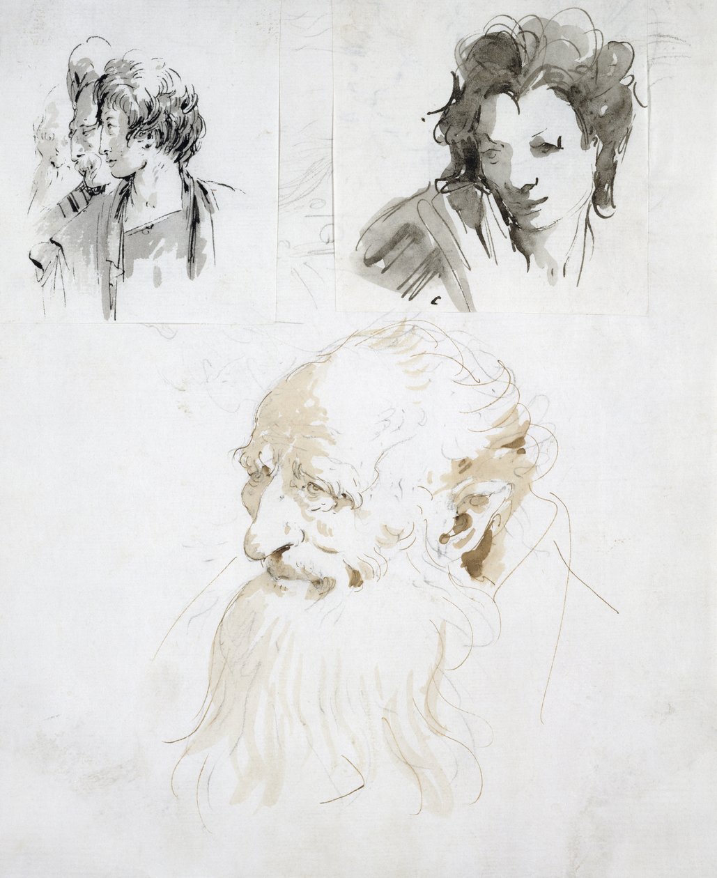 Drei Studien von Köpfen von Giovanni Battista Tiepolo