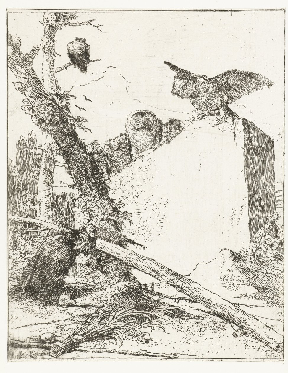 Titelblatt für Scherzi di fantasia mit Eulen bei einem Stein von Giovanni Battista Tiepolo