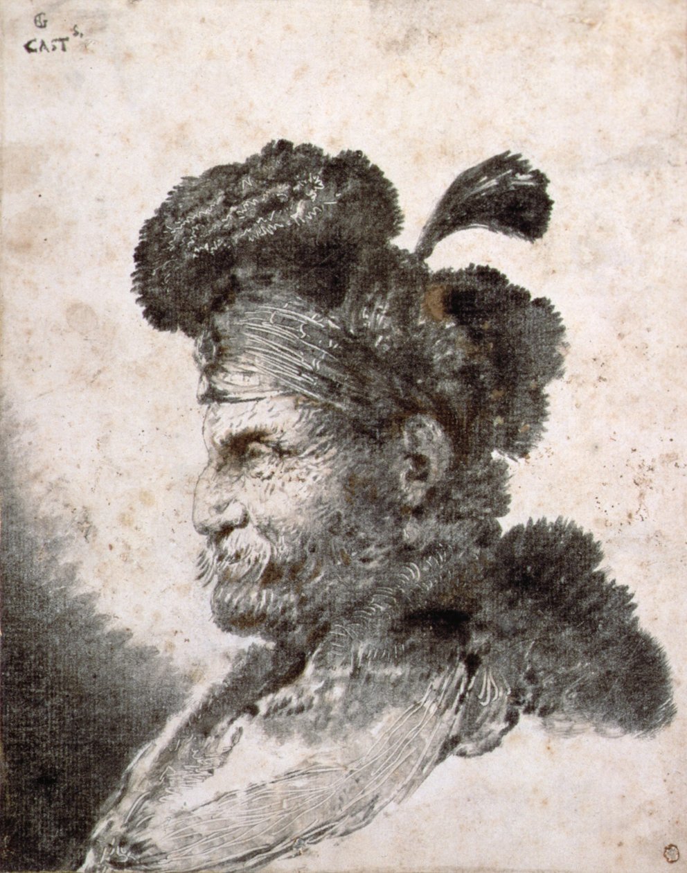 Kopf eines Orientalen im Profil nach links von Giovanni Benedetto Castiglione