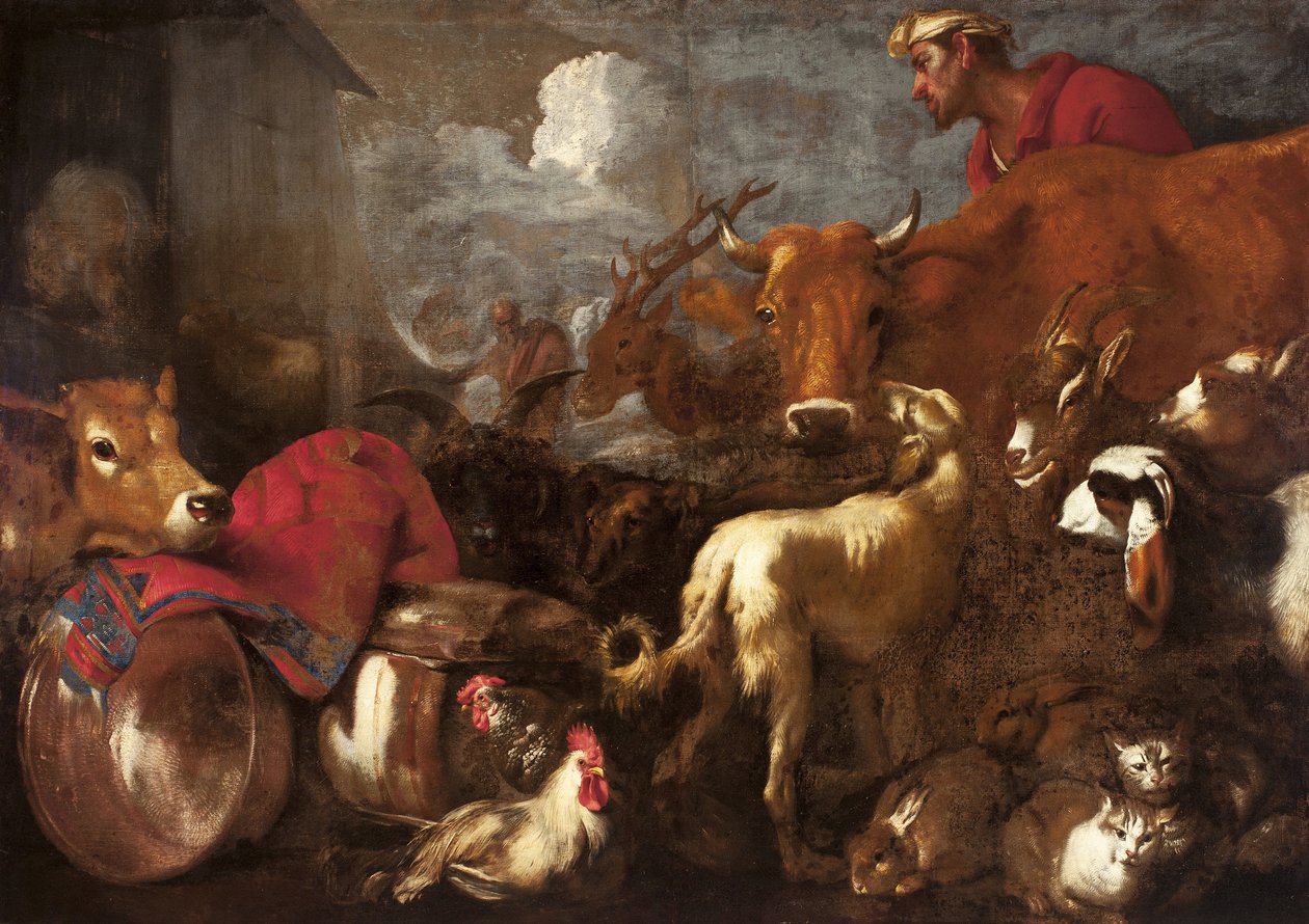 Die Tiere betreten die Arche Noah von Castiglione, Giovanni Benedetto (1610-1665). Öl auf Leinwand, Größe: 170x238 von Giovanni Benedetto Castiglione