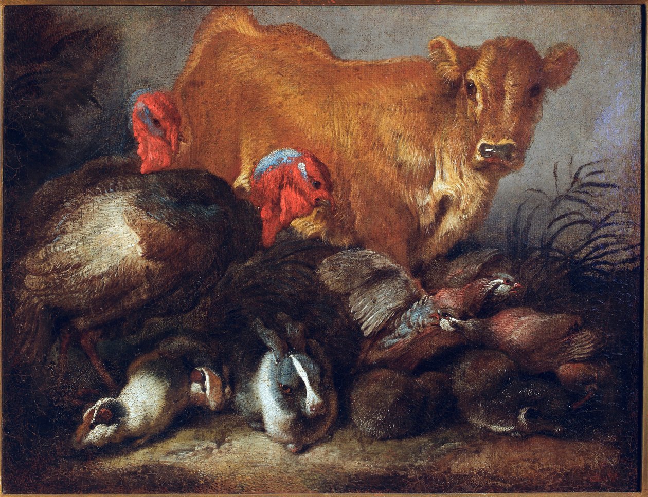 Studie von Tieren: Kuh, Truthahn, Kaninchen. Gemälde von Giovanni Benedetto Castiglione genannt Il Grechetto (1610-1665) von Giovanni Benedetto Castiglione