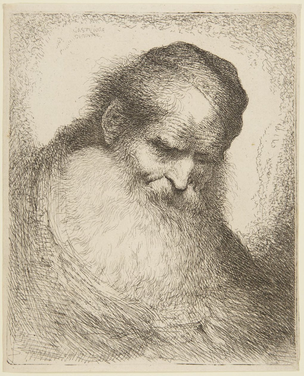 Kopf eines bärtigen alten Mannes von Giovanni Benedetto Castiglione