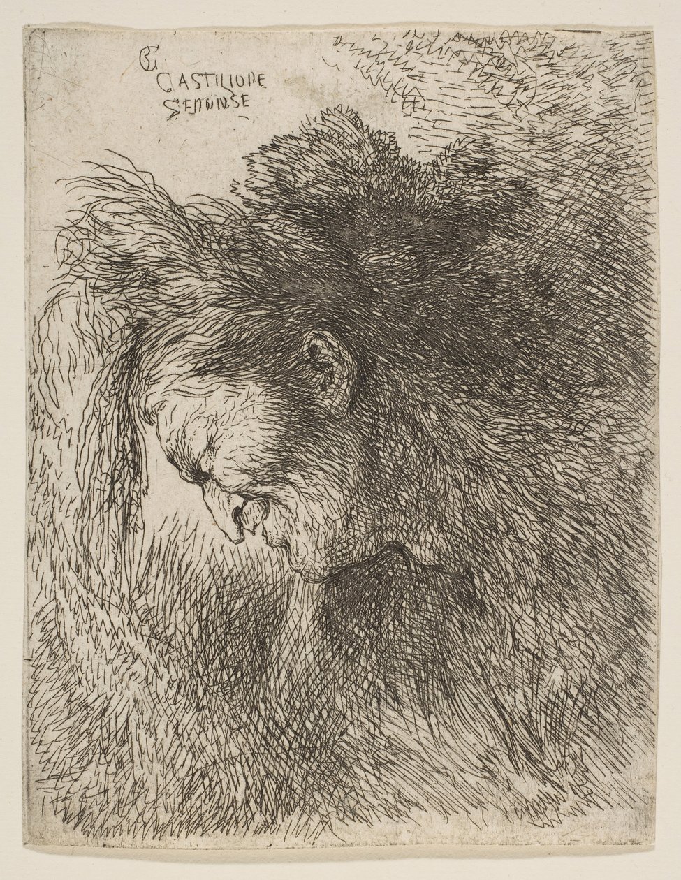 Kopf eines alten Mannes, der nach unten schaut, nach links gewandt, aus der Serie der kleinen Köpfe, ca. 1645-1650 von Giovanni Benedetto Castiglione