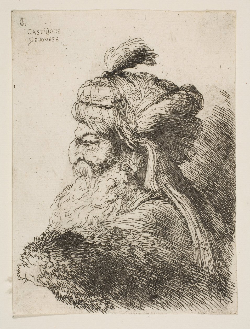 Kopf eines alten Mannes mit Turban nach links, aus der Serie der kleinen Köpfe..., ca. 1645-1650 von Giovanni Benedetto Castiglione