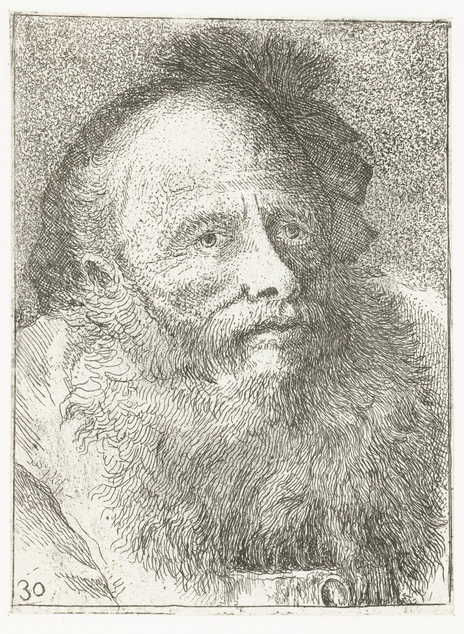 Mann mit Bart und Kopfbedeckung mit Feder Sammlung von Köpfen (Serie) von Giovanni Domenico Tiepolo