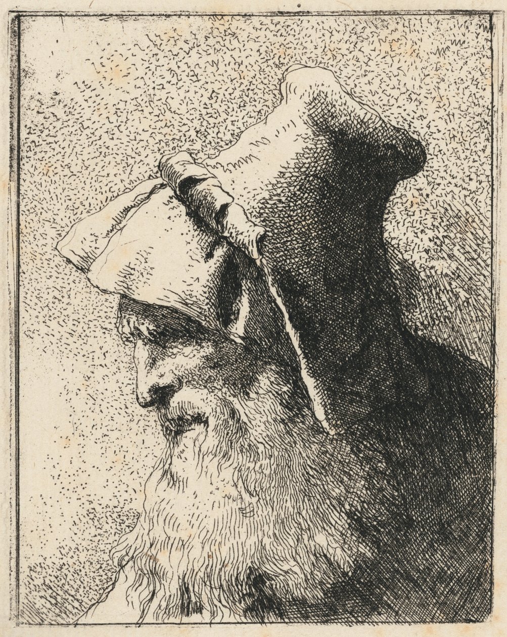 Profil eines alten Mannes mit Bart von Giovanni Domenico Tiepolo