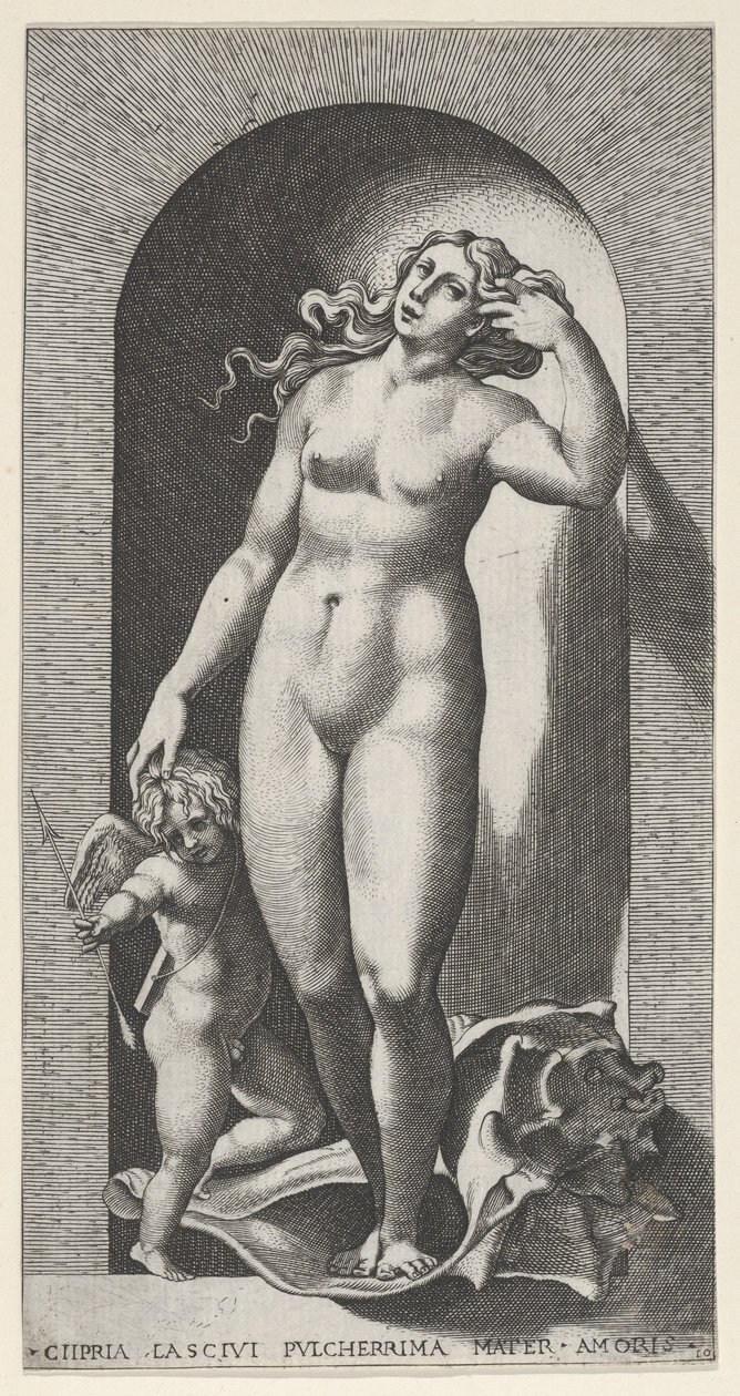 Tafel 10: Venus in einer Nische, stehend auf einer Muschelschale, mit Amor zu ihrer Rechten, aus einer Serie, 1526 von Giovanni Jacopo Caraglio