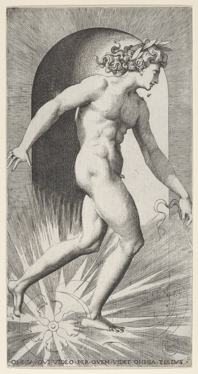 Apollo fährt seinen Wagen in einer Nische, nach rechts gewandt, aus einer Serie von mythologischen Darstellungen von Giovanni Jacopo Caraglio