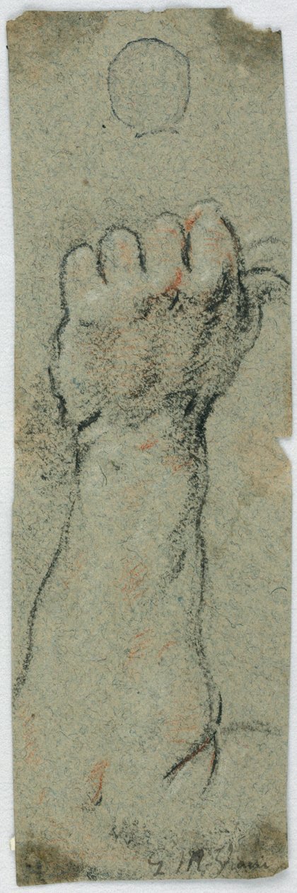 Studie: Ein erhobener Unterarm und linke Hand, die etwas hält von Giovanni Maria Viani