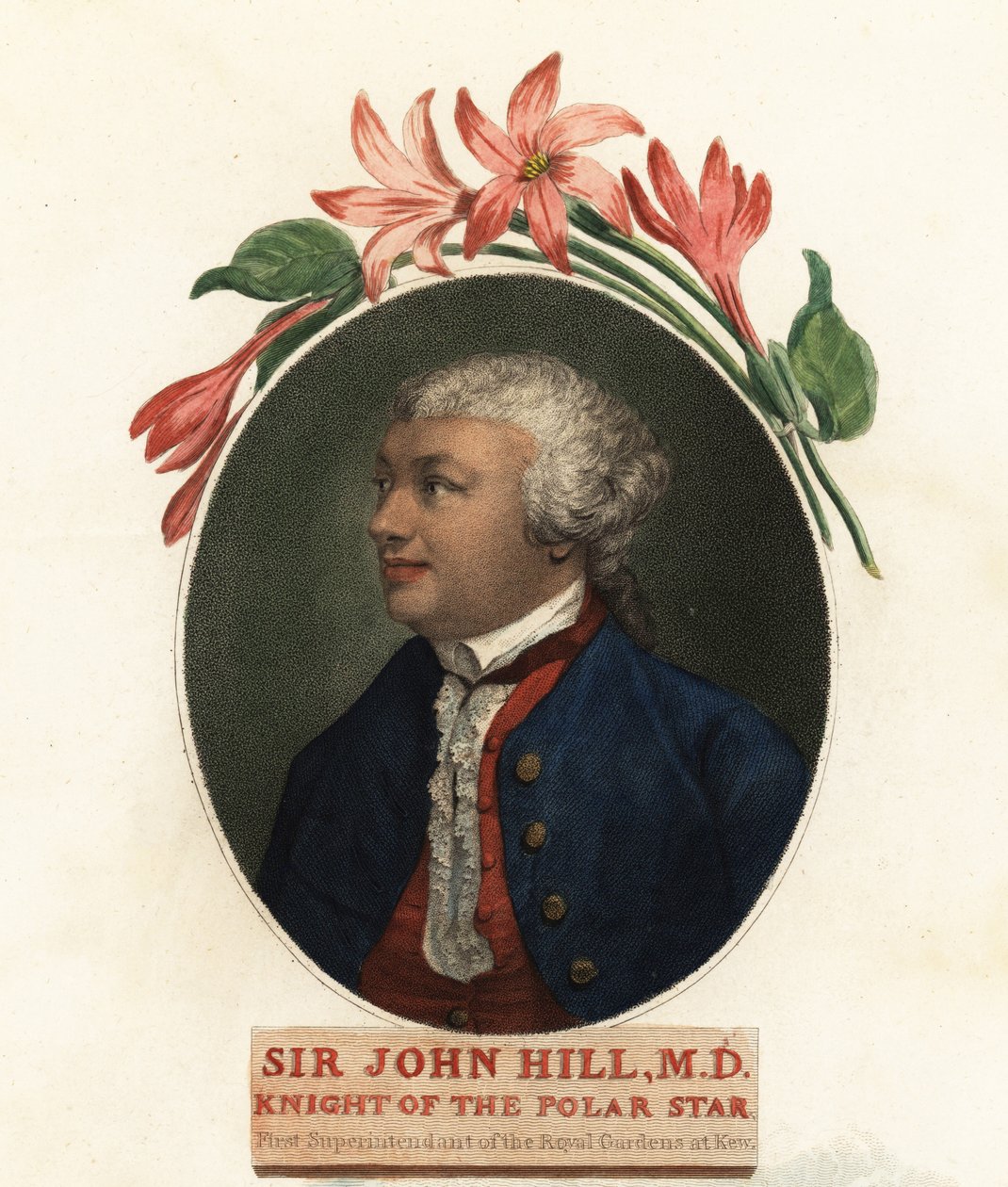 Porträt von Sir John Hill, Naturforscher und Botaniker von Giovanni Vendramini