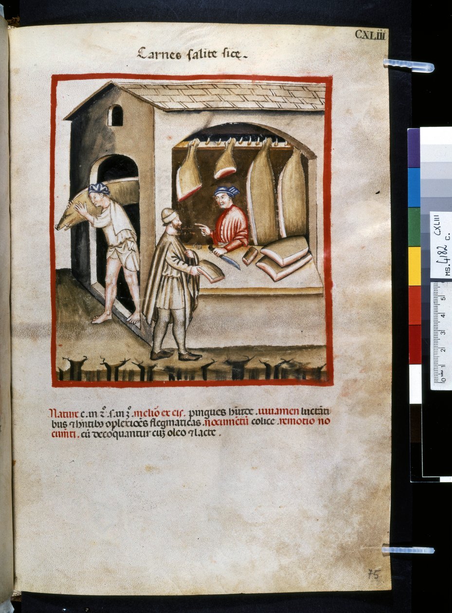 Theatrum sanitatis von Ububchasym de Baldach: 
