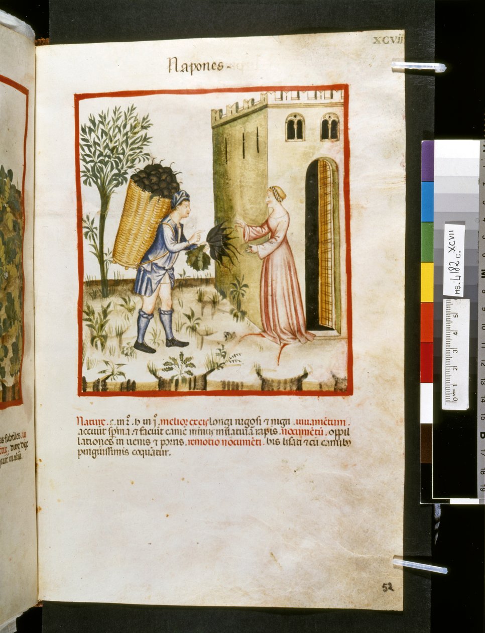 Theatrum sanitatis von Ububchasym de Baldach: 