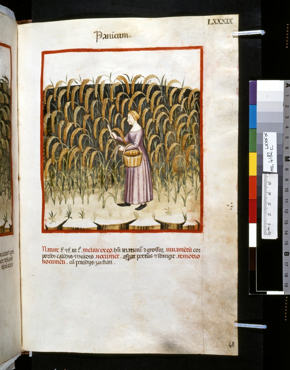 Theatrum sanitatis: 