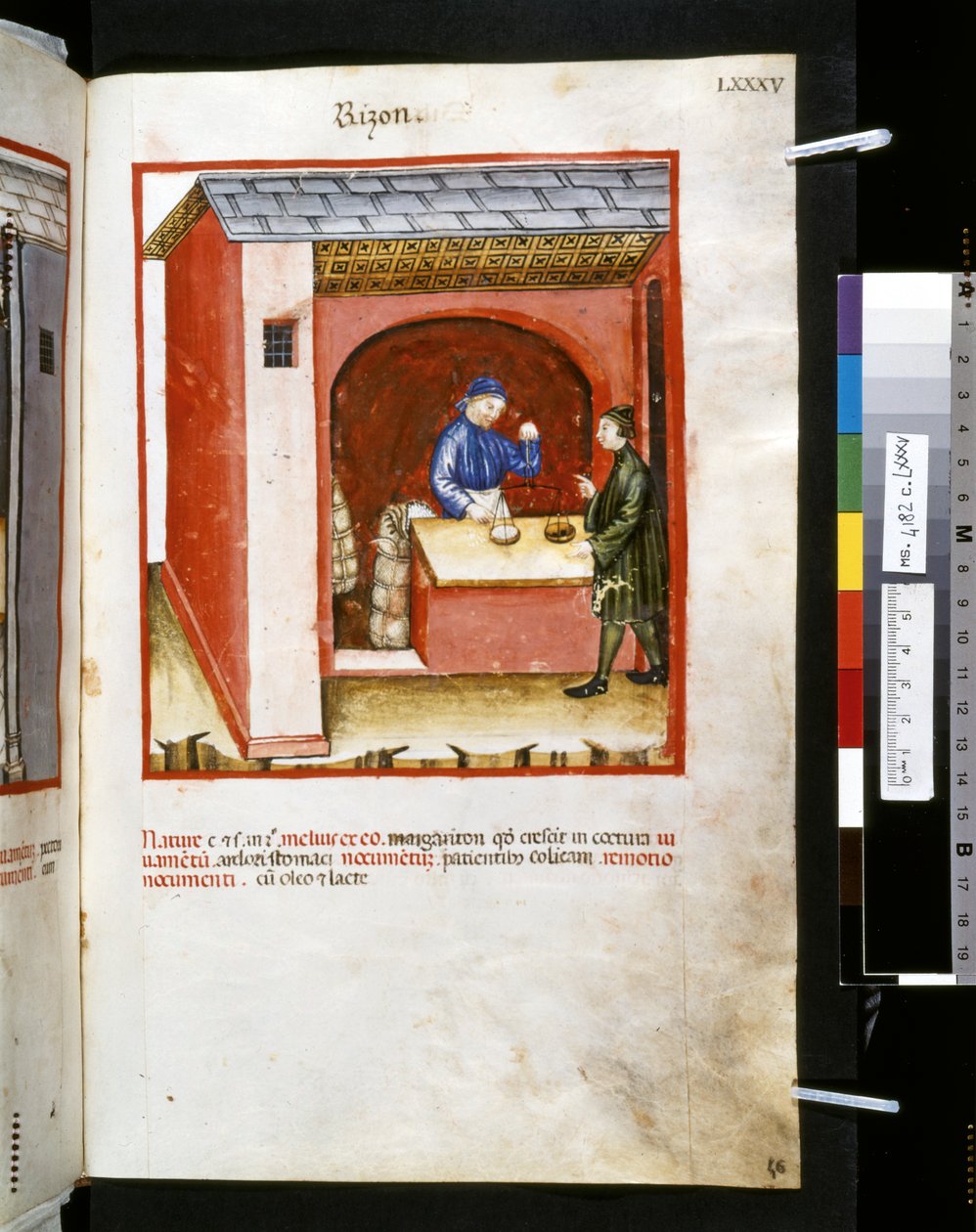 Theatrum sanitatis von Ububchasym de Baldach: 