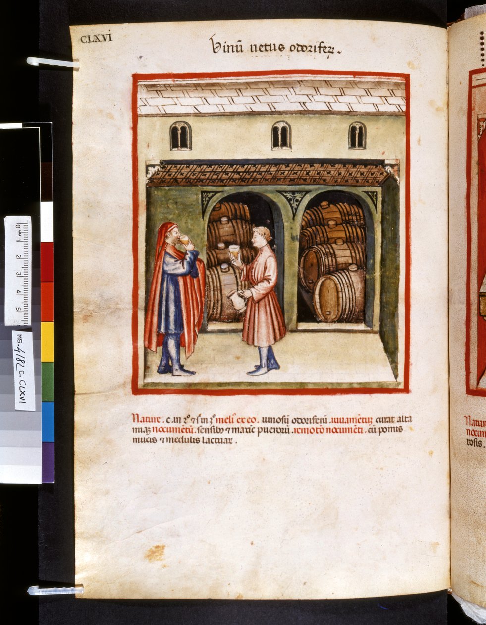 Theatrum sanitatis von Ububchasym de Baldach: 