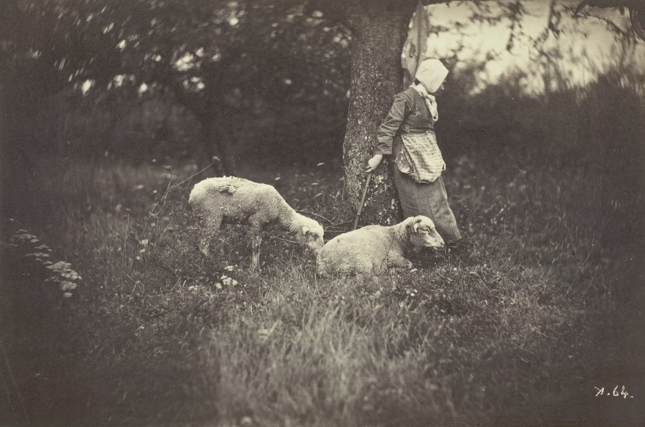 Hirtin, die sich an einen Baum lehnt, mit zwei Schafen, 1870 von Giraudon
