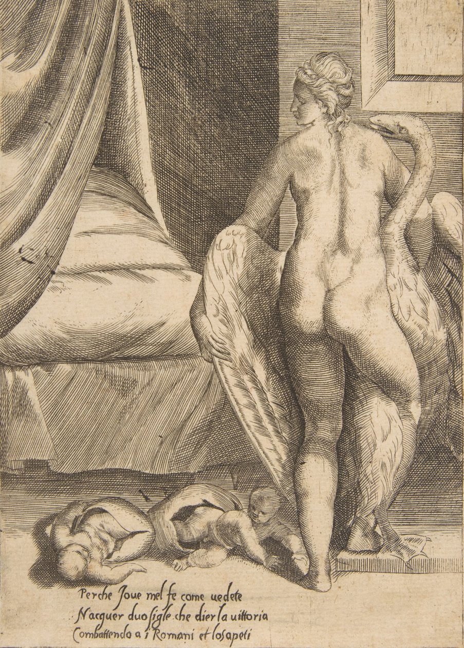 Leda und der Schwan, aus 
