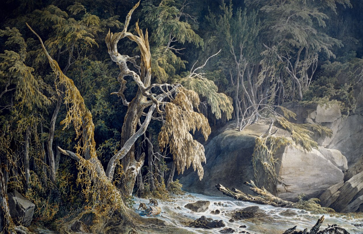 Felsige Landschaft mit entwurzelten Bäumen von Giuseppe Pietro Bagetti
