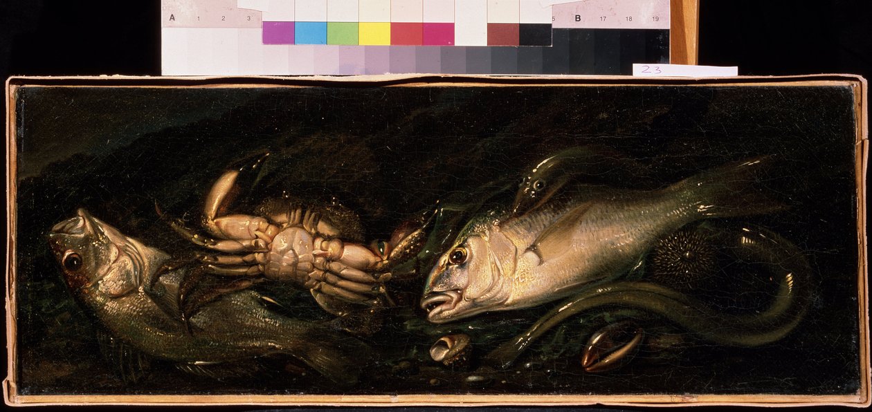 Stillleben mit Fischen und Krabbe von Giuseppe Recco