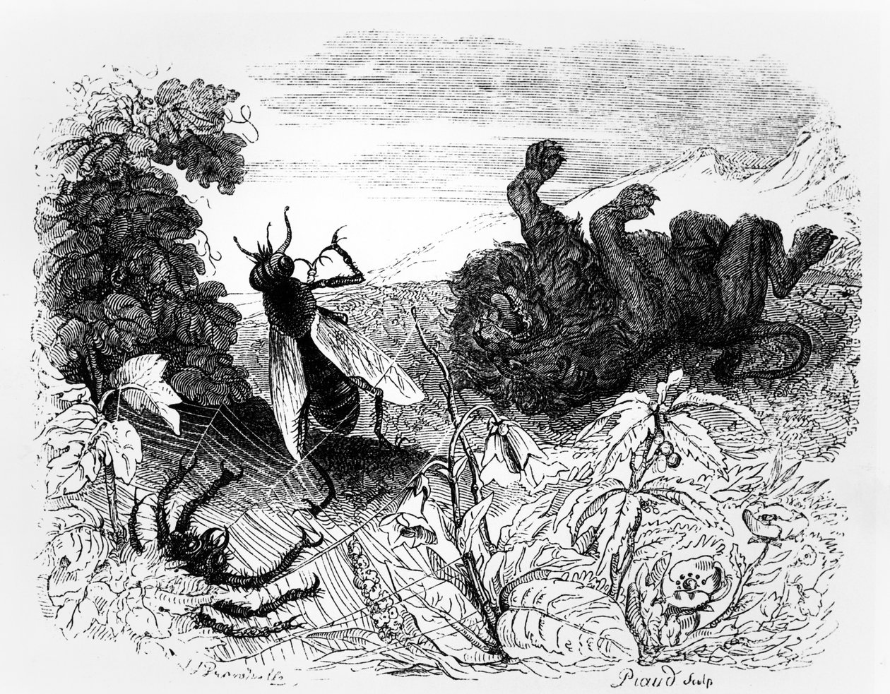 Der Löwe und die Mücke, Illustration für 
