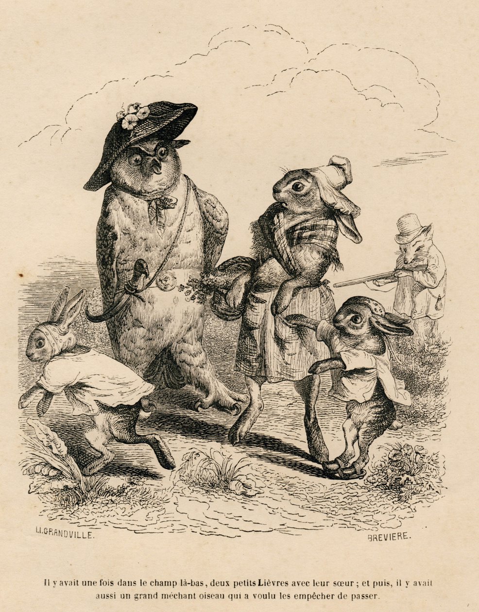 Zwei kleine Hasen mit ihrer großen Schwester werden von einer Eule auf einem Feld angehalten. Ein Fuchs jagt hinter ihnen. Vignetten illustriert von JJ Granville. Gravur signiert Breviere in dem Teil "Geschichte eines Hasen" geschrieben von PJ Stahl von Grandville