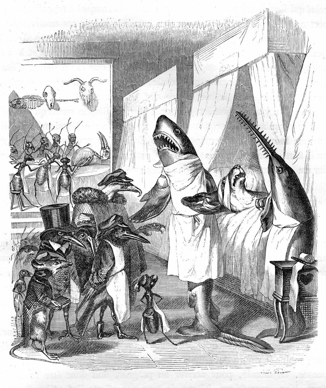 Karikatur: Fische - Ärzte: Grandville-Stich, aus dem Buch „Privates und öffentliches Leben der Tiere (Les animaux peints par eux-mêmes)“, Hetzel-Ausgabe 1867, S. 551 - Ein Hai und ein Sägefisch (Fischsäge) am Krankenbett einer kranken Person im Bett. von Grandville (1803 47)