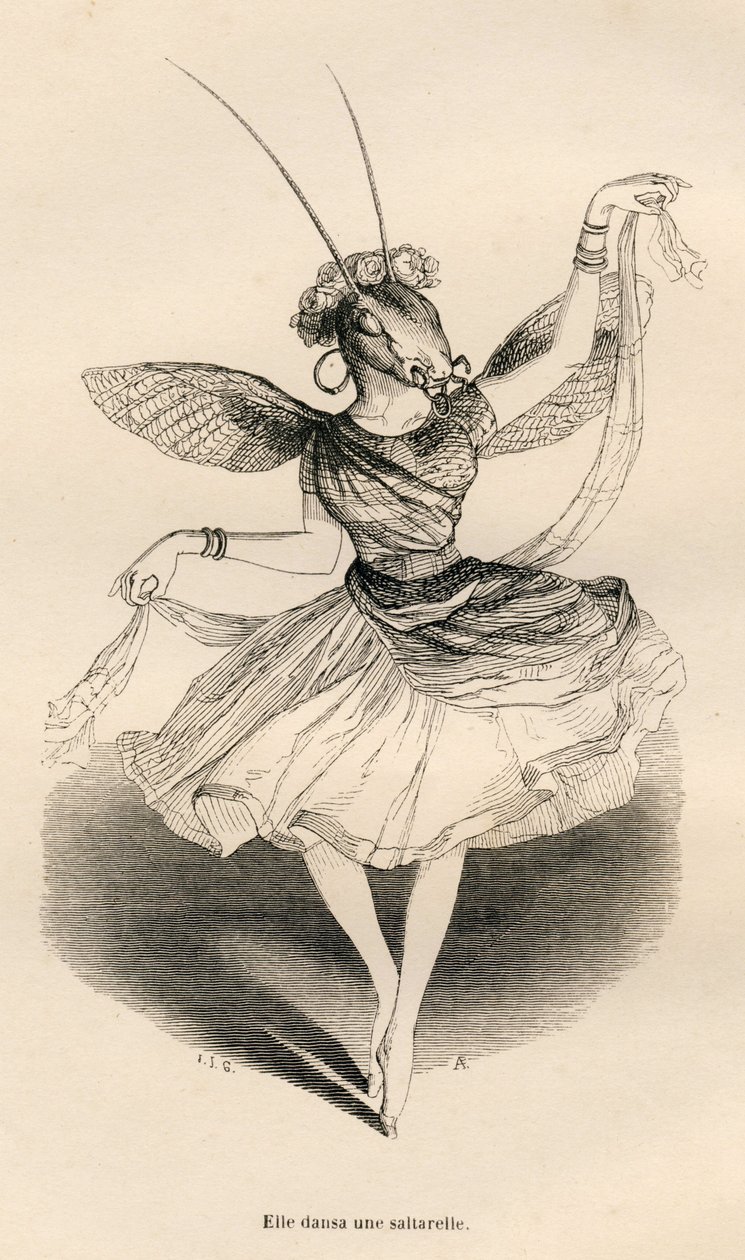 Sie tanzte eine Saltarelle. Vignetten illustriert von JJ Granville. Gravur signiert von Andrew, Best und Leloir im Teil "Die Abenteuer eines Schmetterlings" geschrieben von PJ Stahl in "Szenen aus dem privaten und öffentlichen Leben der Tiere". Paris, J. H von Grandville