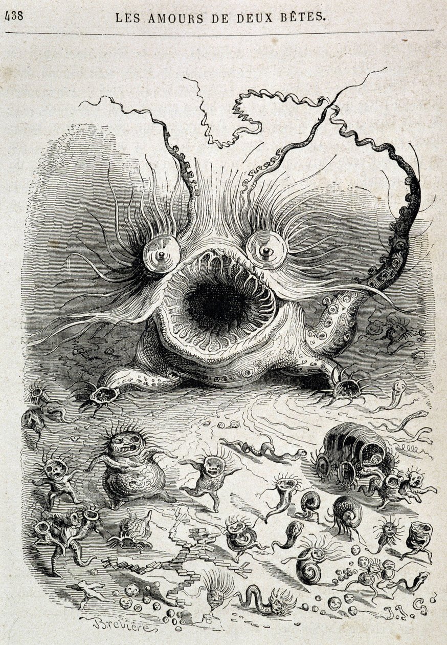 Die Liebschaften zweier Bestien (freaking monster) - in „Tiere, gemalt von sich selbst: Privat- und öffentliches Leben der Tiere“ von Grandville, Kapitel von Honoré de Balzac, ed. Hetzel von Grandville