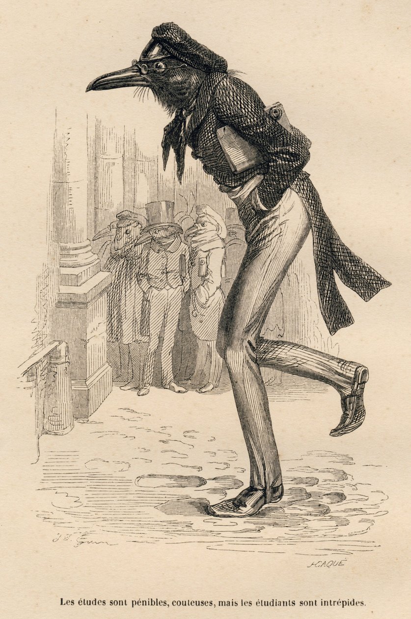 Studien sind mühsam, kostspielig, aber die Studenten sind unerschrocken. Vignetten illustriert von JJ Granville. Gravur signiert Caque im Teil "Die Tierärzte" geschrieben von Pierre Bernard in "Szenen aus dem privaten und öffentlichen Leben der Tiere" von Grandville